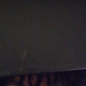 Wok Anthem (sped up) (Explicit)