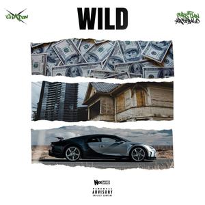 WILD (Explicit)