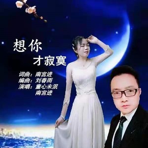 想你才寂寞 (合唱版|升级合唱版)