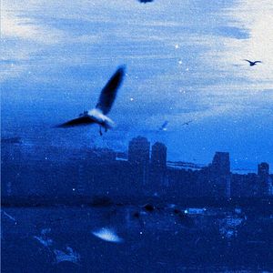 困于永夜+其实 (混搭版)