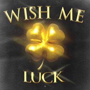 Wish Me Luck (Explicit)