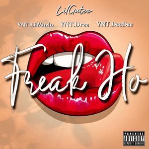 Freak Ho (feat. YNT.LilMarlo, YNT.Dree & YNT.DeeDee) [Explicit]