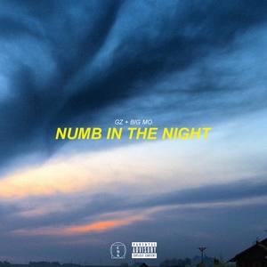 NUMB IN THE NIGHT (feat. Big Mo)