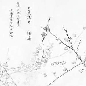 美物
