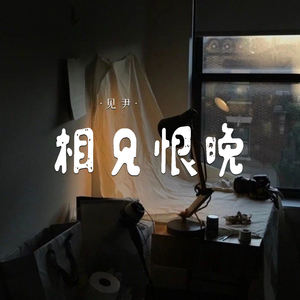 相见恨晚 (DJ版伴奏)