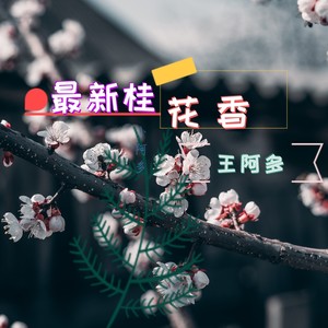 小情妹吖 (水泡版)