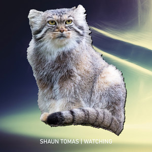 Watching (Original Mix)