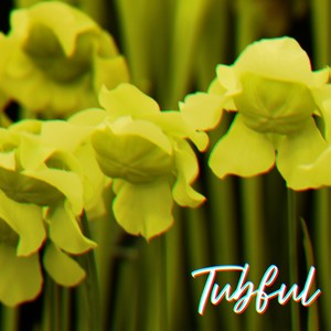 Tubful