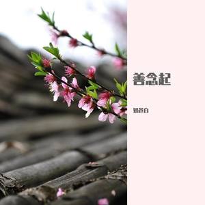 奶爸白 - 善念起