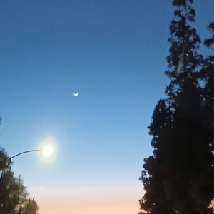 OPALITE-toben waters