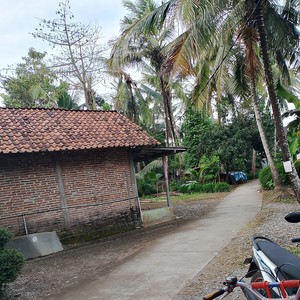 Pusing