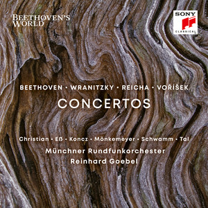 Concerto for Two Violas and Orchestra in C Major - Concerto for Two Violas and Orchestra in C Major: I. Allegro