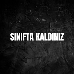 Sınıfta Kaldınız