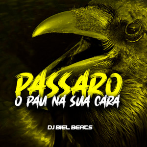 PASSARO O PAU NA SUA CARA (Explicit)