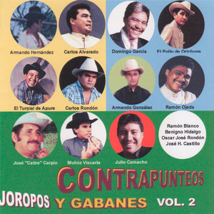 Contrapunteos, Joropos Y Gabanes (Vol. 2)