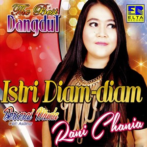 Istri Diam Diam