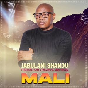 Mali (feat. Khumz, Plan-B Fakumoya & Sibah Musiq)