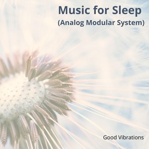 Music for Sleep (Analog Modular System)