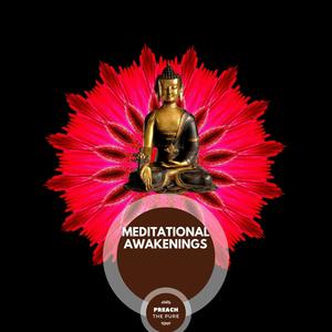 Meditational Awakenings