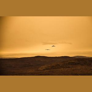 飞鸟（prod By Red killer）