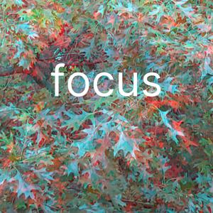 focus