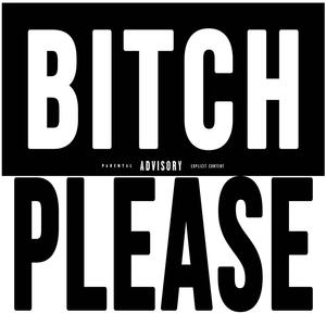 ***** Please (Explicit)