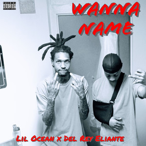 Wanna Name (feat. Del Rey Eliante) [Explicit]