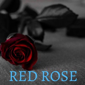 Red Rose