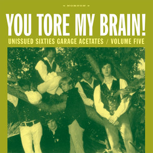 You Tore My Brain