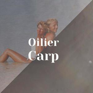 Oilier Carp