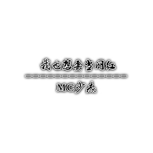 扬鞭策马踏轮回
