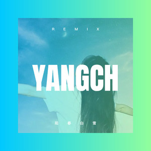 网红最火怒击摇 (DJ版)