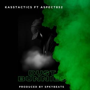 Dust Bunnies (feat. Aspect852) (Explicit)