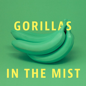 Gorillas in the Mist