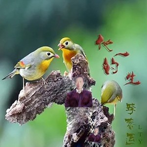 他的一生 (伴奏)