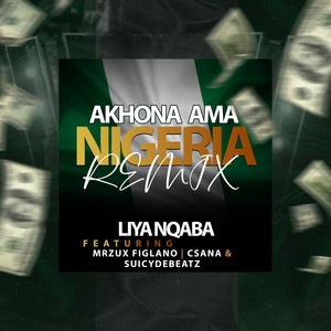 Akhona Ama Nigeria (Remix)