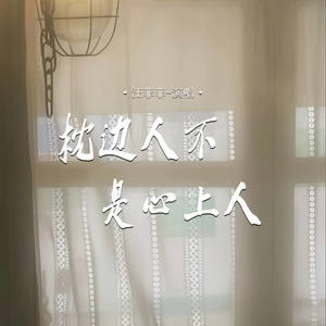 枕边人不是心上人 - 汪菲菲封面