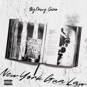 New York Gun Law (Explicit)