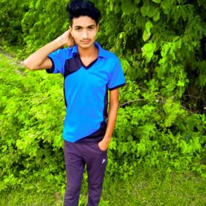 Chhora Maja Udata Dol Jaipur Dilhi