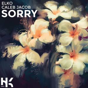 Sorry (feat. Caleb Jacob)