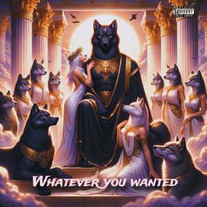 Whatever You Wanted (Explicit)