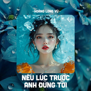 Nếu Lúc Trước Anh Đừng Tới (HLV Remix)