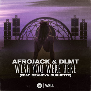 Wish You Were Here(feat. Brandyn Burnette) (Extended Mix)