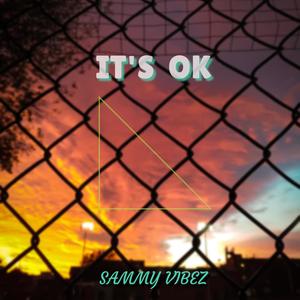 IT'S OK (Radio Edit)
