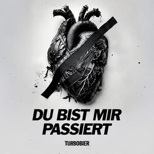 Du bist mir passiert