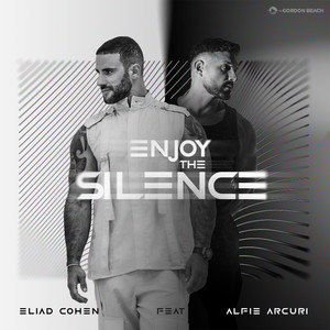 Enjoy the Silence (Radio Edit)