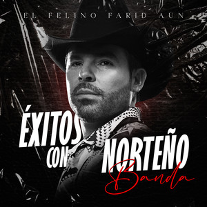 Exitos Con Norteño Banda