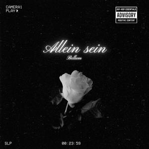 Allein sein