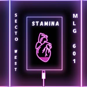 Stamina (feat. MLG 601)