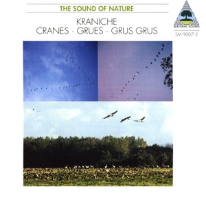 Natural Sound: Kraniche / Cranes